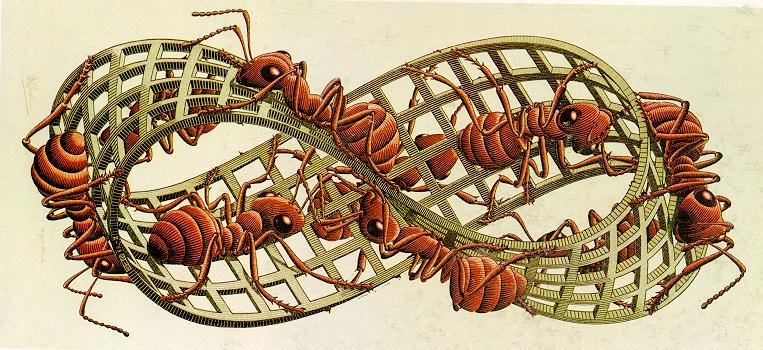 moebius strip